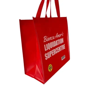 Bulk Private Label 80gsm Durable Ultrasonic Supermarket Grocery Store Retail Use Non woven bag