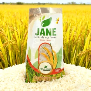 Custom 25kg 50kg 100kg Rice Packing Bag Polypropylene Bag BOPP Laminated PP Woven Bag for Food Grade Flour Packaging