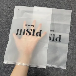 Custom Biodegradable Matte Frosted Ziplock Resealable Plastic Packaging Poly Zip Lock Zipper Bag With Logo for Clothing