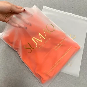 Custom Logo Clothing Clothes Underwear Storage Transparent Frosted PE Pouch Zipper Plastic Bags