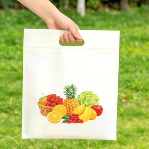 Custom Logo D Cut Non Woven Shopping Bag Reusable Eco Friendly Promotional Grocery Tote Bag Factory Supply