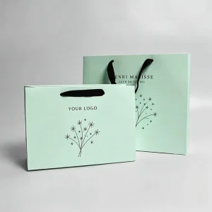 Custom Logo Eco Friendly Biodegradable Mint Green Paper Gift Bag with Star Print Black Ribbon Handle for Retail Packaging