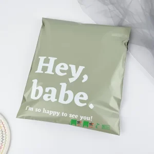 Custom Logo Eco Friendly Biodegradable Poly Mailing Shipping Bag for Clothes