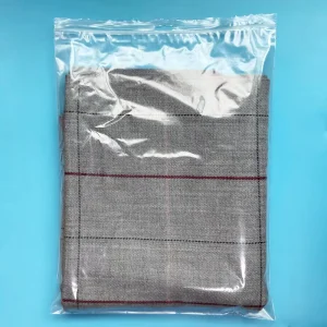 Custom Logo Gravure Printed Waterproof LDPE Plastic Garment Packaging Zip Lock Zipper Bag with Hang Hole for Clothes
