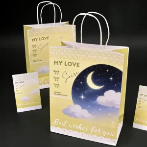 Custom Logo Moisture Waterproof Reusable Paper Bags Pantone Color Card Clothing Shopping Eco Friendly Packaging Retail Bags