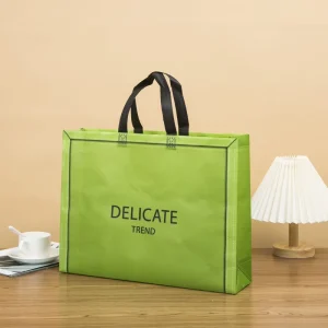 Custom Logo Non Woven Fashion Retail Packaging Bag for Clothing Stores Reusable Eco Friendly Shopping Bag Laminated Brand