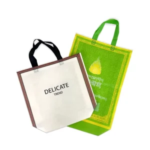 Custom Non Woven Packing Bag