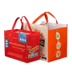 Custom Non Woven Sewn Foldable Laminated Clothing Packaging Bags Closure Type None Factory Made Zhejiang Model 001