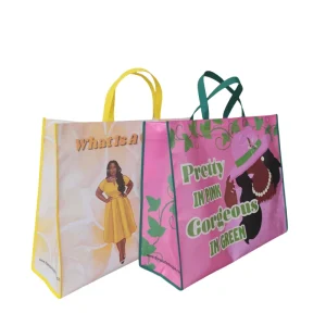 Custom Print Eco Reusable Supermarket Grocery Promotion Shopping Non Woven Bag for Trade Show