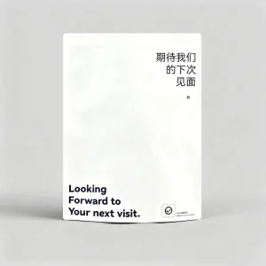 Custom Printed Eco Friendly Biodegradable PE Plastic Packaging Transparent Frosted Zipper Bag for Garments Shoes Socks