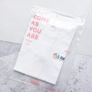 Custom Printed Plastic Zipper Bags Waterproof Garment Packaging Bag for Retail Distribution
