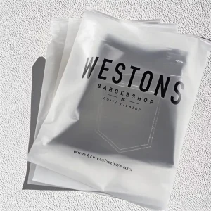 Custom Recyclable PE Moisture Proof Garment Packaging Bags with Carton Reusable Zipper for Shirt and Shoes Packing
