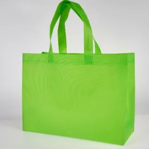 Custom Reusable Grocery Eco Friendly Non Woven Handled Shopping 70gsm 80gsm PP Non Woven Bag