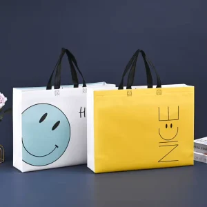 Customize Laminated Non Woven Bag Custom Logo Printed Eco Friendly Shopping Bag Factory Direct Manufacturer