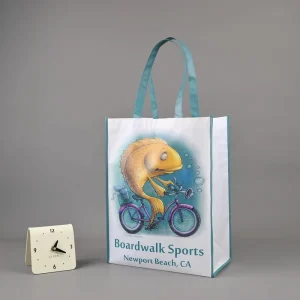 Customized Eco Bag Foldable Laminated Film Tote Non woven Shopping Bag Recyclable PP Non Woven Gift Bags