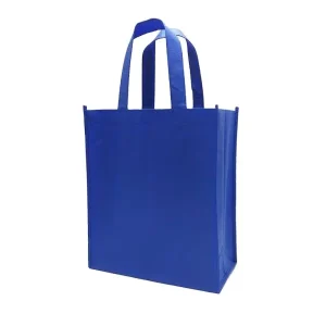 Customized Logo Printed Non Woven Bags for Shopping Packaging Eco Friendly Package Bag