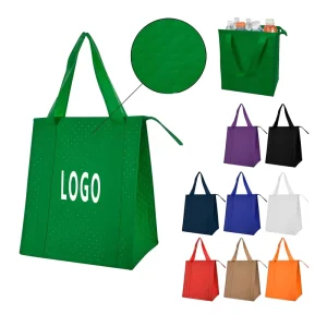 Customized Non woven Cooler Bags with Zipper Used for Picnic Camping and Takeout Packaging