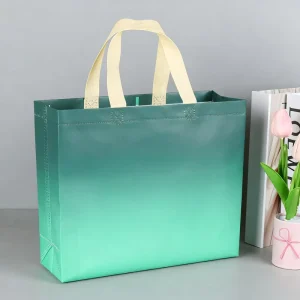 Customized Printing Non Woven Fabric Bag Environmentally Friendly and Recyclable for Shopping Logo Packaging