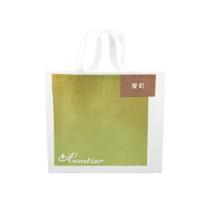 Durable Non Woven Fabric Packaging Bags Custom Logo Printing Multi Printing Options for Women’s Clothing Store