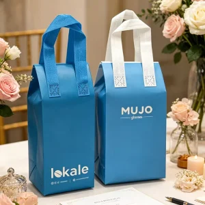Eco Friendly Cartoon Disposable Nonwoven Thermal Cooler Bags Handle Durable Insulated Waterproof Hot Cold Food Bag