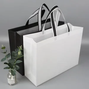 Eco Friendly Heat Bonding Non Woven Custom Printed Logo Clothing Packaging Bag for Women’s Handbags and Shoes