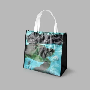 Eco Friendly RPET & PP Woven 120gsm-140gsm Non woven Shopping Bags With Reusable Handles Grocery Clothing Shoe Packaging