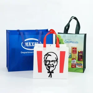 Eco Friendly Recyclable Customized Print Promotional Non Woven Bag pp Non Woven Shopping Bag Printing