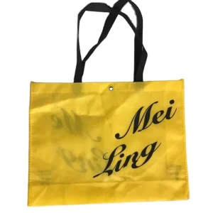Eco Friendly Reusable Bolsa pp Non Woven Fabric Tote Shopping Packaging Gift Bag