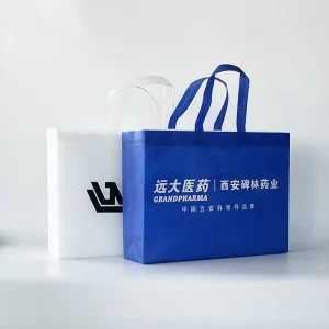 Eco Friendly Reusable Non Woven Bag Portable Shopping Tote Bag Foldable Fabric Grocery Bag Sustainable Packaging Bag