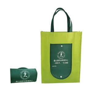 Eco friendly Reusable Non Woven Folding Bag with Handle Customized Printing Non Woven Bag Folding for Shopping Packaging Gift