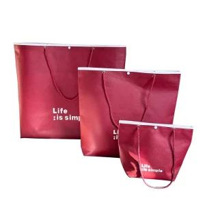 Factory Directly Sale Durable Non Woven Bag with Drawstring Customized Printed Logo Non Woven Bag for Packaging Shopping