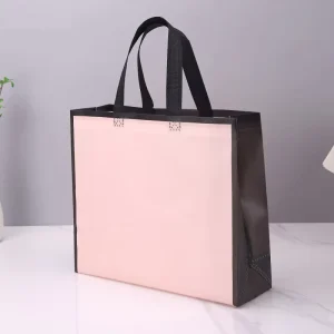 Factory Durable Recyclable Laminated Shopping Non Woven Bag with Silk Screen Logo Printing PP Non Woven Fabric Craft Use