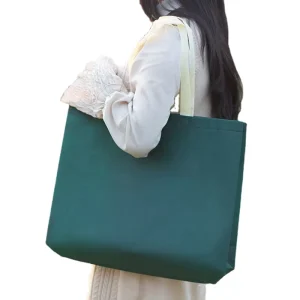 Factory customization MOQ100pcs Recyclable Non Woven Bag Shopping Bag Packaging