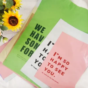 High Quality PE Shipping Bags Customizes Tshirt Packaging Custom Printed Mail Bag Poly Bag for Clothing Packaging