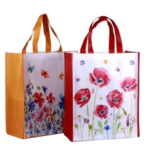 High Quality Promotional Packaging Reusable Eco friendly Polypropylene Laminated Non Woven Bag Shopping Tote Bag