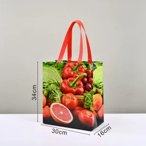 High Quality Reusable Laminated Non Woven Bag With Handles Waterproof for Promotion Gift Supermarket Grocery Clothing