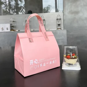 Industrial Cellophane Cooler Bags for Takeaway Delivery Nonwoven Heat Preservation for Food Chocolate Cookies Coffee Packaging
