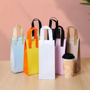 Insulated Non Woven Bag for Biryani Pulao and Rice Based Dish Delivery