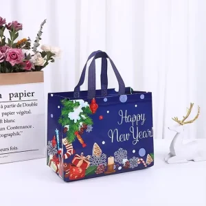 Laminated Non Woven Garment Bag for Apparel Packaging with Custom Size Options
