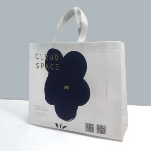 Non-Woven Clothing Bags Carry Bags Shopping Customized Printing Reusable Packaging Composite Material Poly Bag Printed