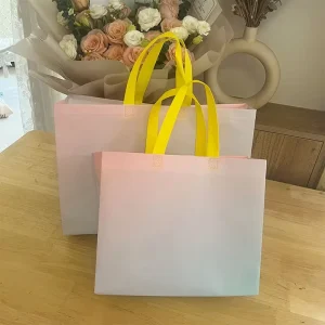 Non Woven Fabric Laminated PP Woven Bags Gradient Color Customized Logo Shopping Bag Packaging
