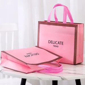 Non Woven Fabric Packing Bag With Handle Rope Custom Printing Logo Non woven Shopping Bag