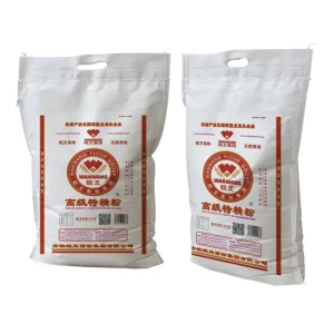 Non Woven Reusable Food Powder Bag Flour Packaging Sack With Custom Printing for Mills Bakeries Factory Direct