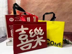Non woven Fabric Coated Clothing Bag Packaging Bags Custom Carry Bags
