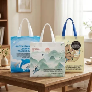 Nonwoven Reusable Shopping Bag Clothes Packaging Bag Handbag