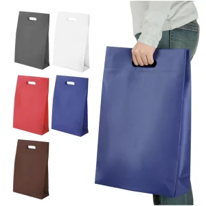 PP Non-woven Bags Flat Style Non-woven Eco Friendly Material Bags for Packaging Non Woven Bag D Cut