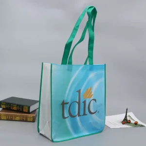 Packaging Laminated Eco Carry Non Woven Bag Shopping Tote Rpet Bag PP Non Woven Bag