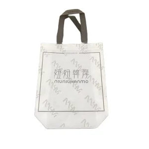 Recycled Eco bag Pp Non woven Bags Laminated Non Woven Fabric Carry Shopping Bag With Custom Print Logo