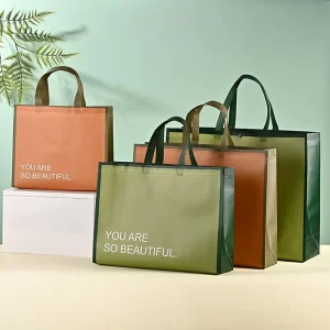 Reusable Laminated Non Woven Bag Shopping Bag with Handle Fashionable Pattern Waterproof