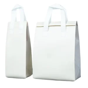 Reusable Non-Woven Food Packaging Take Out Shopping Bags Recyclable Feature